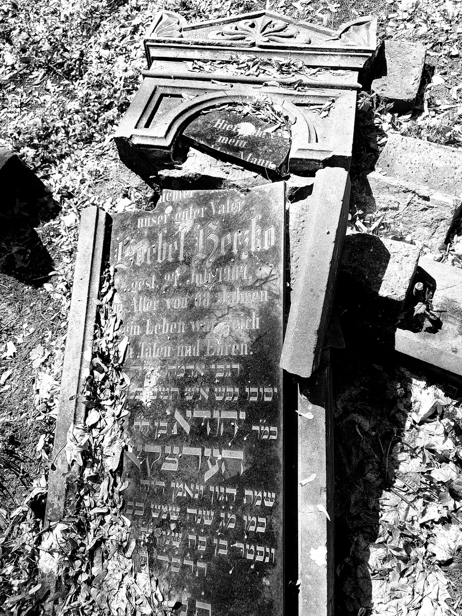 jewish cemeteries Mysłowice