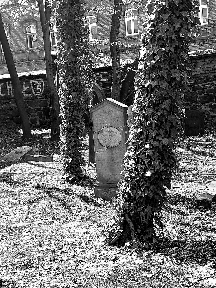 jewish cemeteries Mysłowice